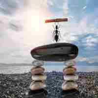 网‍站​访​问‌速‍度​慢‌的‌排‍查‌方﻿法‌